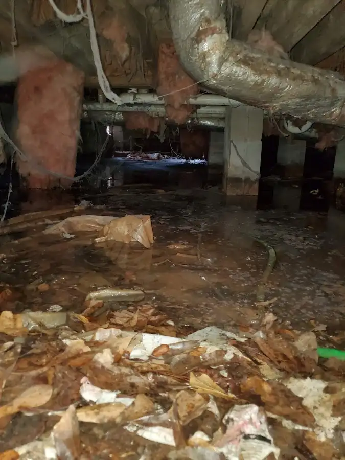 Crawl space flood assessment for Leak Detection & Repair in Henderson