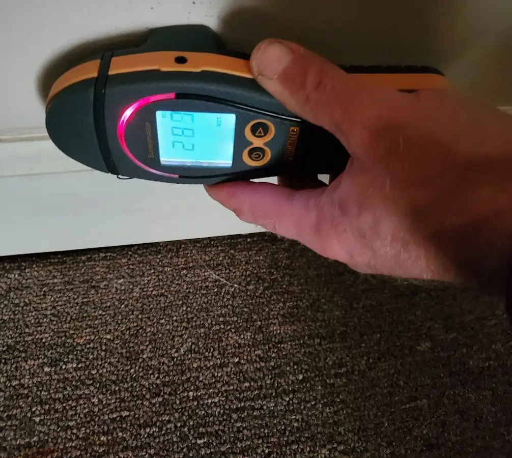 Moisture detection at baseboard during Burst Pipe Cleanup in Henderson